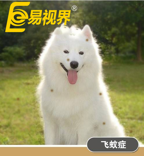 不一樣的眼病，不一樣的世界