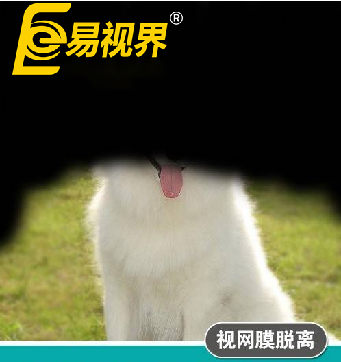 不一樣的眼病，不一
                </div>
                <div   id=
